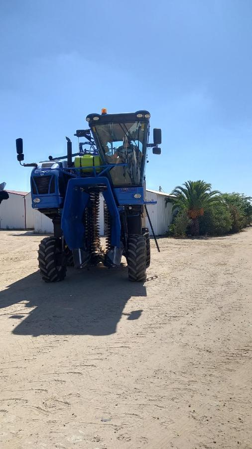 Monte Da Serralheira Agro Turismo エヴォラ エクステリア 写真