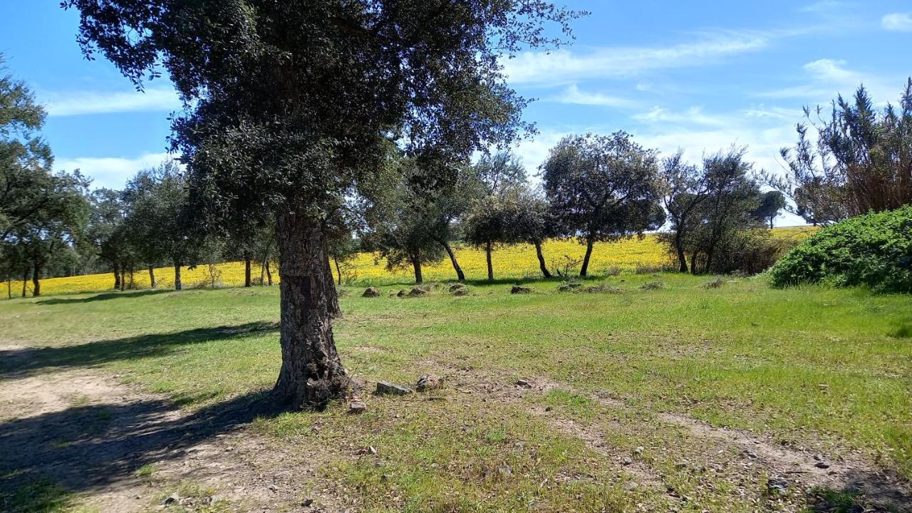 Monte Da Serralheira Agro Turismo エヴォラ エクステリア 写真
