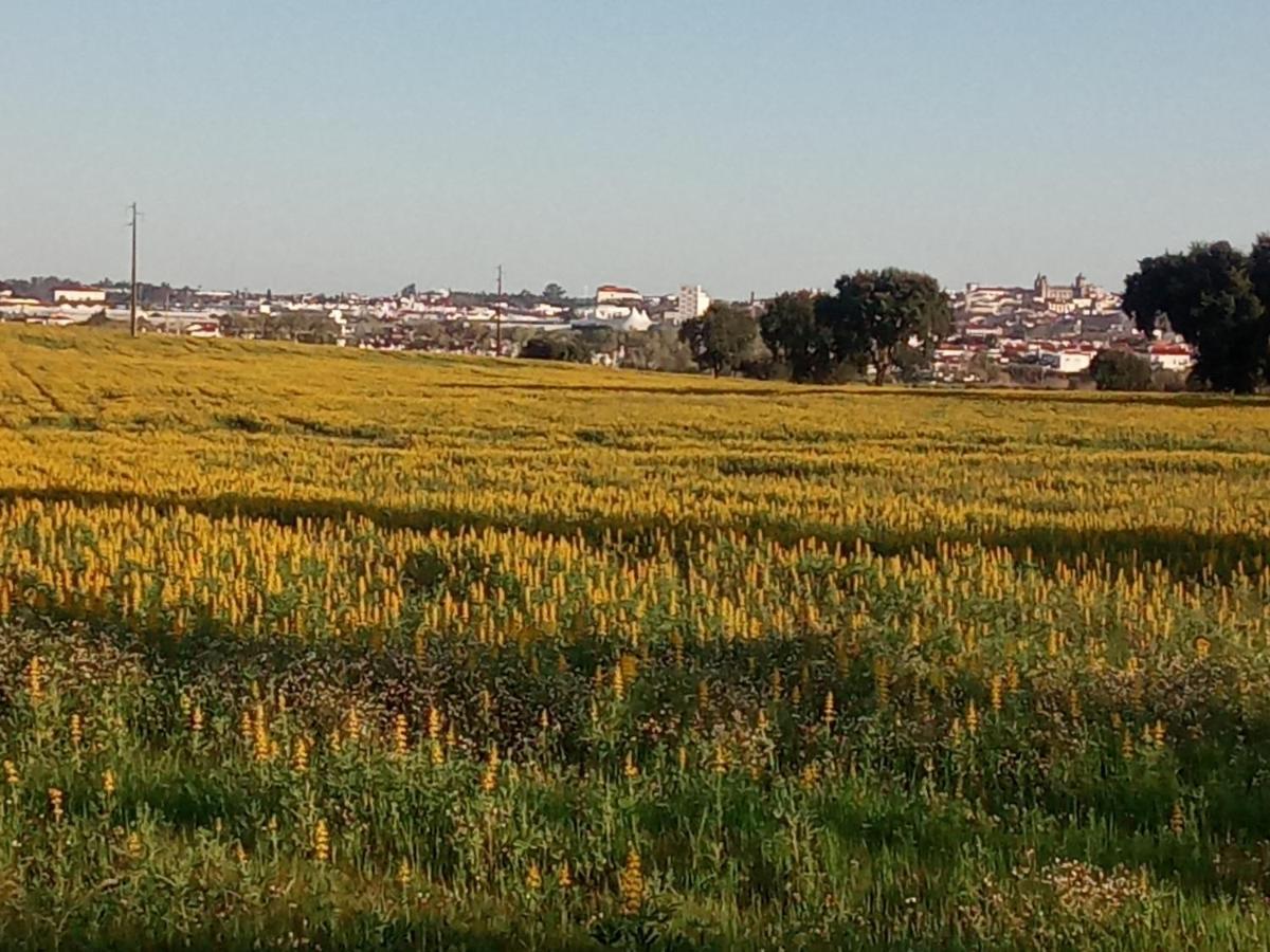 Monte Da Serralheira Agro Turismo エヴォラ エクステリア 写真