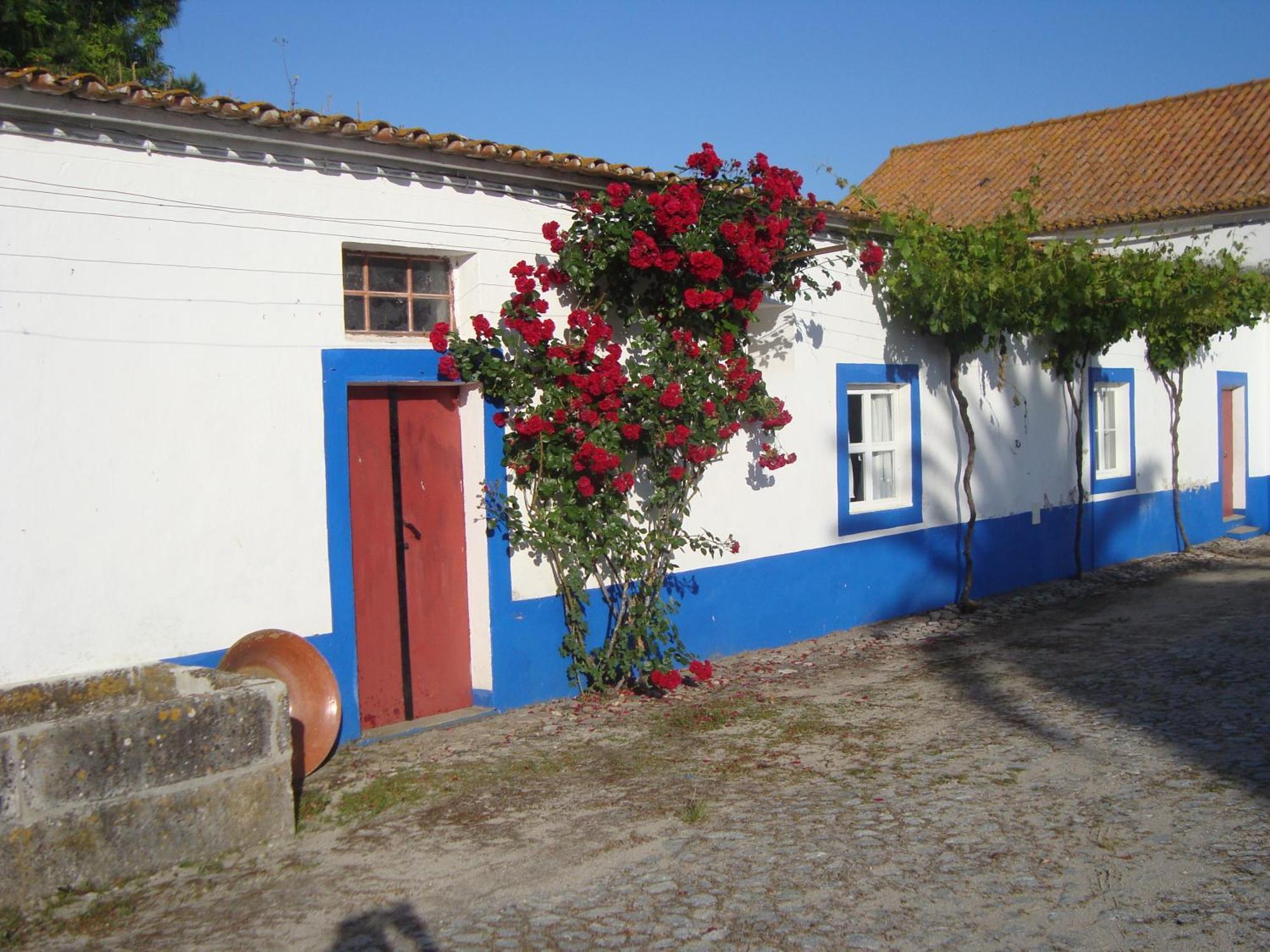 Monte Da Serralheira Agro Turismo エヴォラ エクステリア 写真