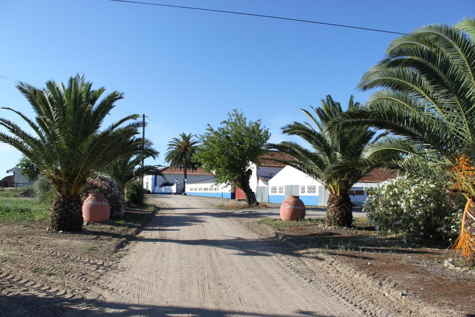 Monte Da Serralheira Agro Turismo エヴォラ エクステリア 写真