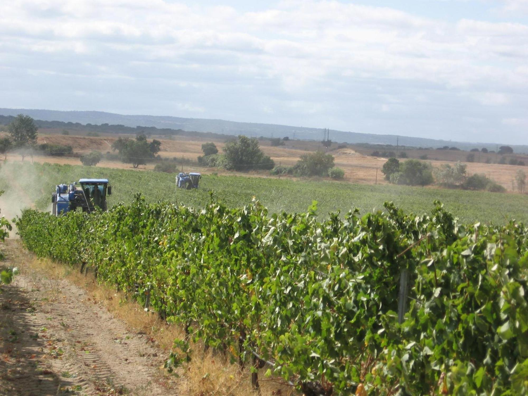 Monte Da Serralheira Agro Turismo エヴォラ エクステリア 写真