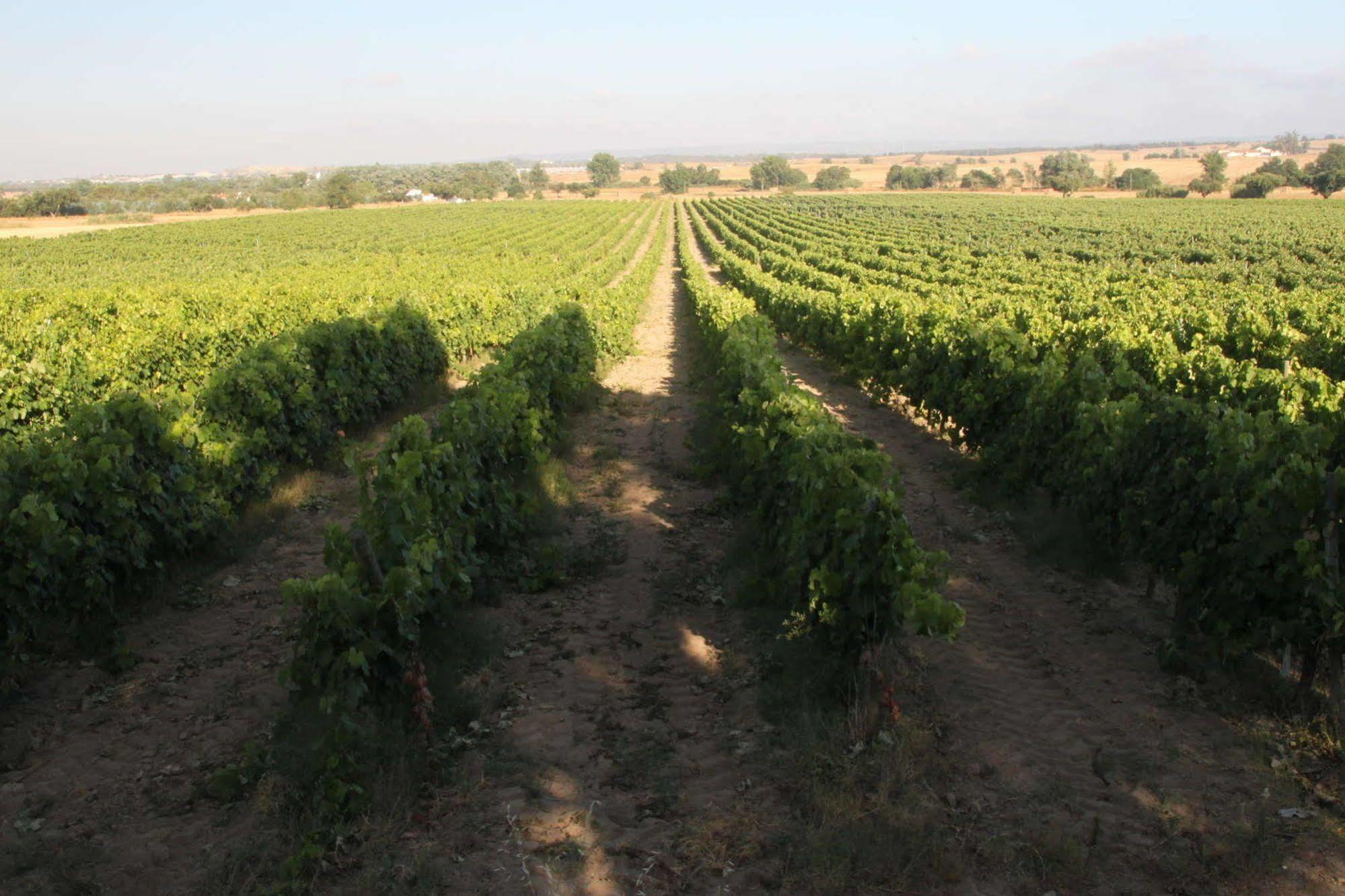 Monte Da Serralheira Agro Turismo エヴォラ エクステリア 写真